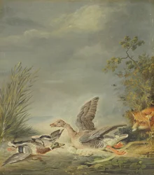 Fuchs und Wasservögel